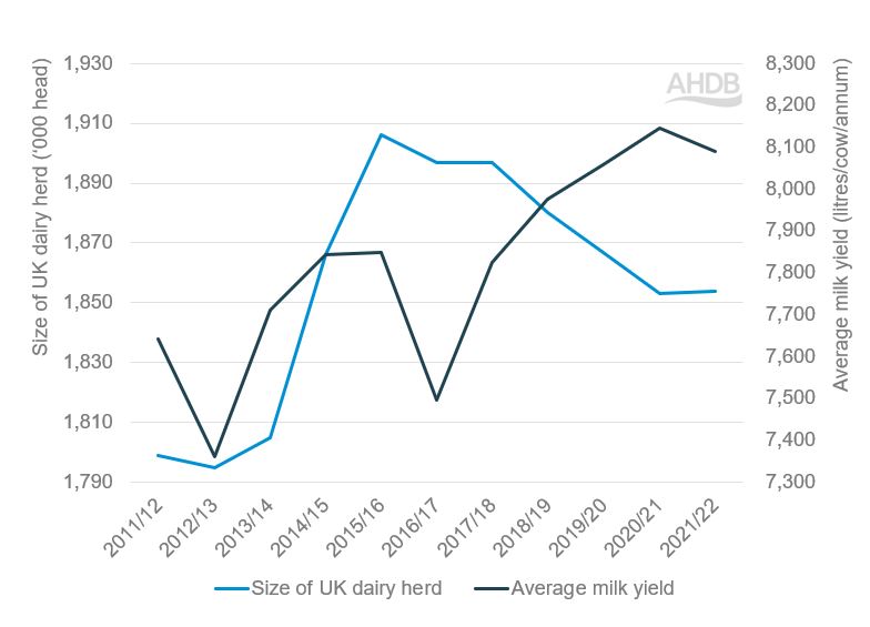 Line graph to show the size of the UK dairy herd and milk yield between 2011/12 and 2021/22